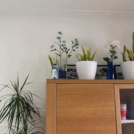 Apartamento Maralva